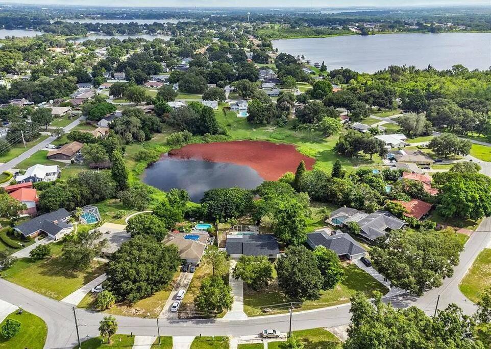 Cozy Lakefront Home W/ Pool -7 Mins From Legoland ウィンターヘイブン エクステリア 写真